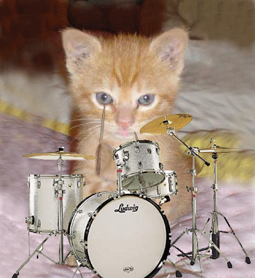 yeppp c'est la f�te !!